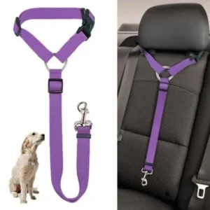 kf-Sca8039ed686f4ead83279ee205360ccdI Ceinture de sécurité de voiture pour animaux de compagnie, laisse de plomb en nylon, ceinture de sécurité de siège arrière réglable, collier SFP pour chiens, accessoires pour animaux de compagnie, document solide, 2 en 1